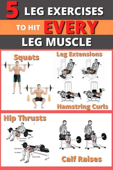 5 Best Leg Exercises to Grow HUGE Legs! | Leg workouts gym, Leg and glute workout, Leg workouts ...