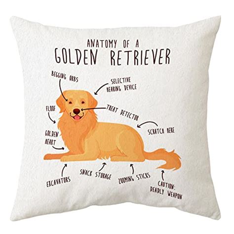 25 Golden Retriever Gifts (For Obsessed Owners and Pets)