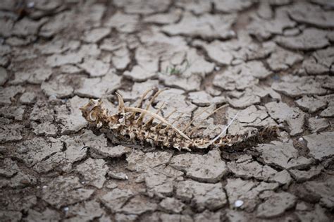 Em Meio à Onda De Calor Extremo Temperatura No Reino Unido Passa De