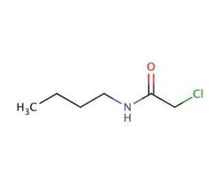 N Butyl 2 Chloro Acetamide CAS 5349 24 6 SCBT Santa Cruz