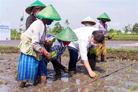 Menko Airlangga Dukung Smart Farming Petani Milenial Untuk Peningkatan