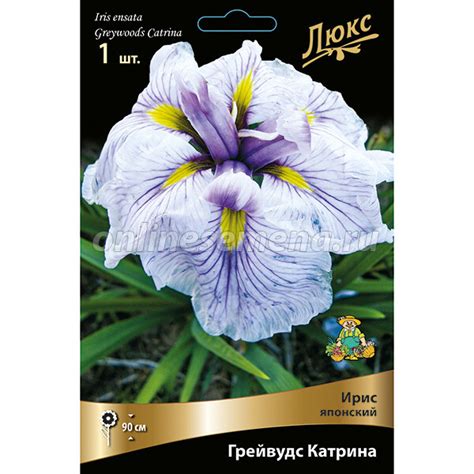 Ирис японский Грейвудс Катрина из каталога Ирисы – купить с доставкой ...