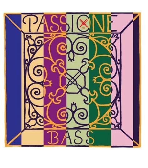 Комплект струн для скрипки (жила), в тубе, Passione Solo Violin ...