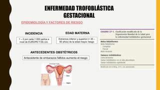 Embarazo Ect Pico Y Enfermedad Trofobl Stica Gestacional Pptx