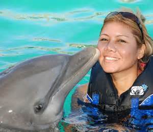 Swim With Dolphins in the Bahamas