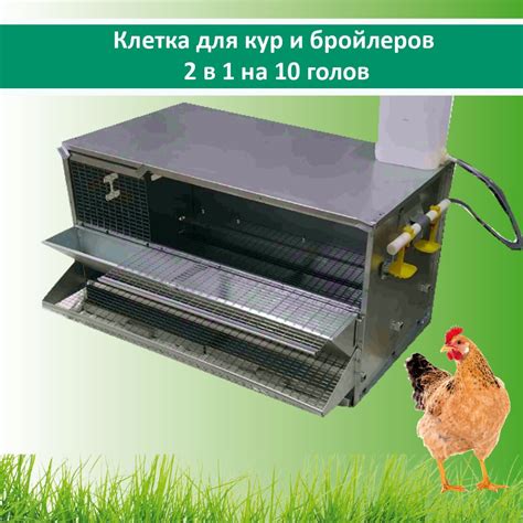 Клетка для кур-несушек до 9 голов Вятка Стандарт - купить с доставкой ...