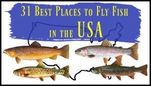 Best Places To Fly Fish In The Usa Maps Flies And More Guide