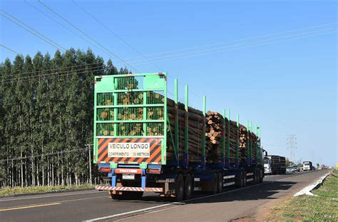 Fábrica de celulose da Arauco superará a da Suzano e será a maior do