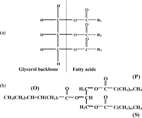 General Structure Of A Triglyceride - slidesharetrick