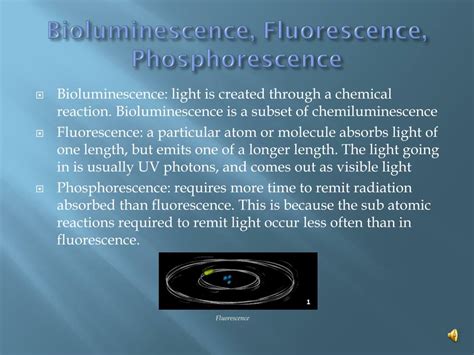 Ppt Bioluminescence Powerpoint Presentation Free Download Id1931250