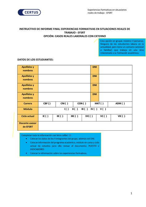 1 Instructivo DE Informe Reales De Trabajo EFSRT INSTRUCTIVO DE