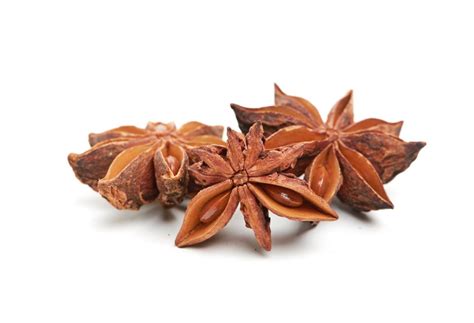 Aniseed Anise And Star Anise Culinary Facts And Uses