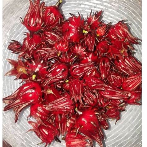 Jual Bunga Rosella Merah Ungu Teh Rosela Ungu Rosela Kering Shopee