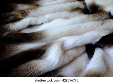 16,785 Mink fur Images, Stock Photos & Vectors | Shutterstock