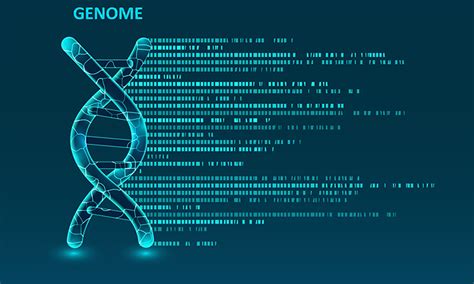 Diverse Genomic Data Reduces Bias In Predicting Disease Risk