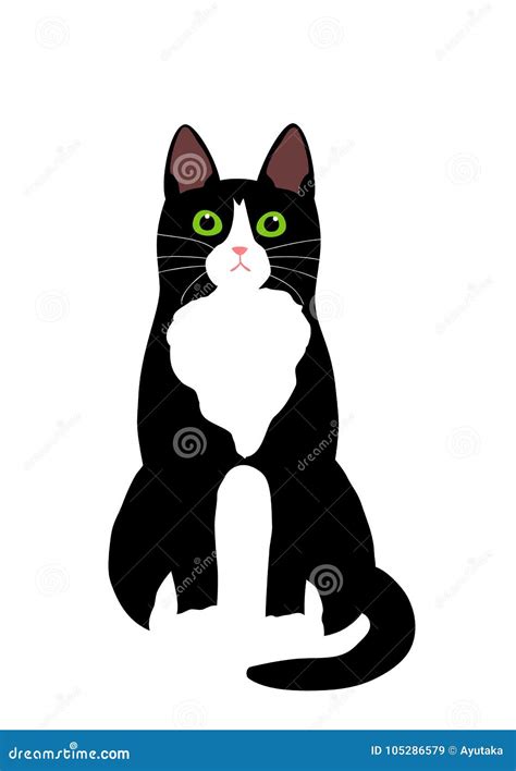 Cute Black and White Cat Sitting Stock Vector - Illustration of isolated, cute: 105286579