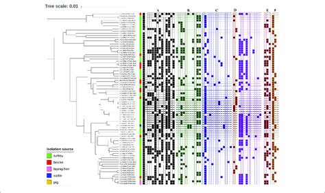 Phylogeny Of Mcr Positive E Coli Sequence Types Year And Source