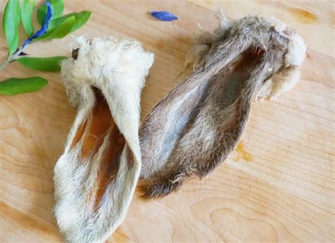 Naked Beasts Lamb Ear Pug Hound Pet Apothecary