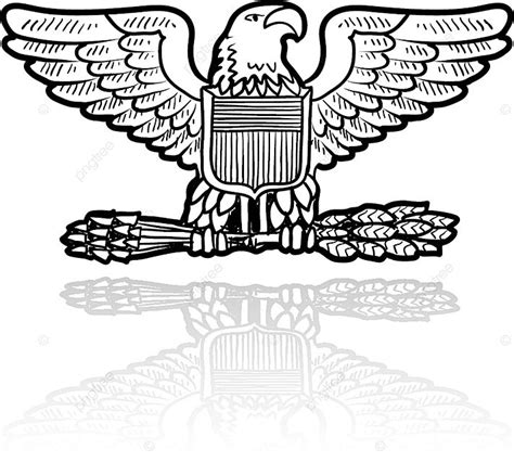 Us Military Eagle Vector Insignia Uniform Doodle Drawing Vector