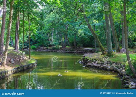 Palanga Botanical Park Pond in Summer Midday Stock Image - Image of ...