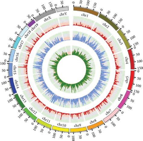 General features of m6A methylation in mouse heart development. (a ... 