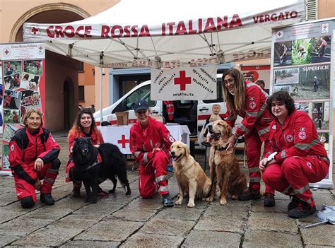 Unit Cinofila Croce Rossa Italiana Comitato Bologna Croce Rossa