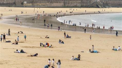 Un Alga T Xica Causa Picores A Un Centenar De Ba Istas En Donostia