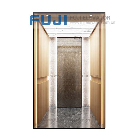 Fuji Persons Stainless Steel Home Passenger Elevators For Sale