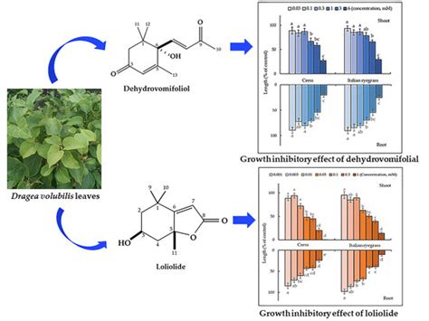 Agronomy Free Full Text Allelopathy Of The Medicinal Plant Dregea