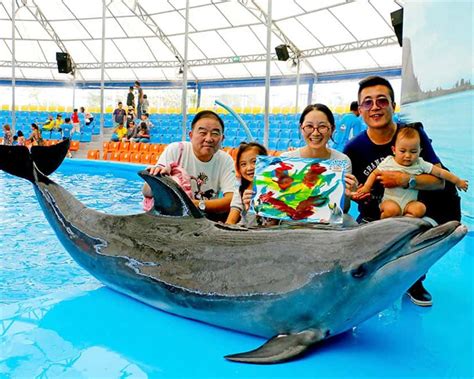 pattaya dolphinarium admission ticket tours sunleisureworld
