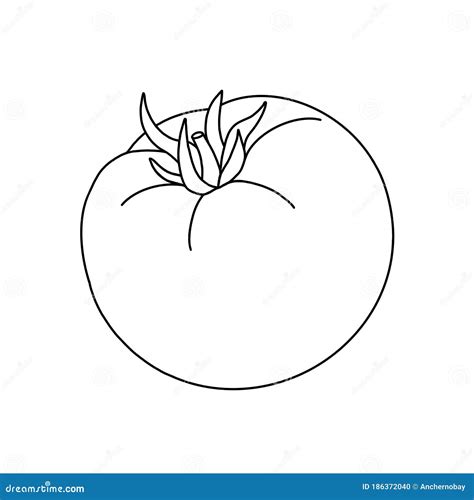 Outline Cartoon Tomato Isolated On White Background Black And White