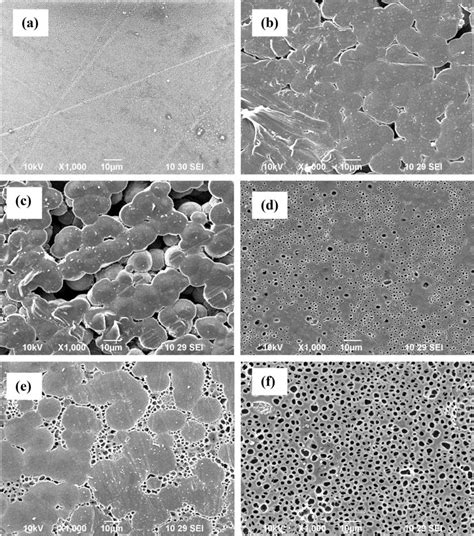 Sem Images Of A Pure Pvdf Hfp B Pel C G D G E G And F G