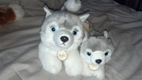 Aurora Miyoni Plush Huskies 105 And 8in By Vesperwolfy87 On Deviantart