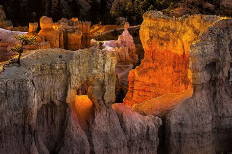 Czerwone skały w Parku Narodowym Bryce Canyon