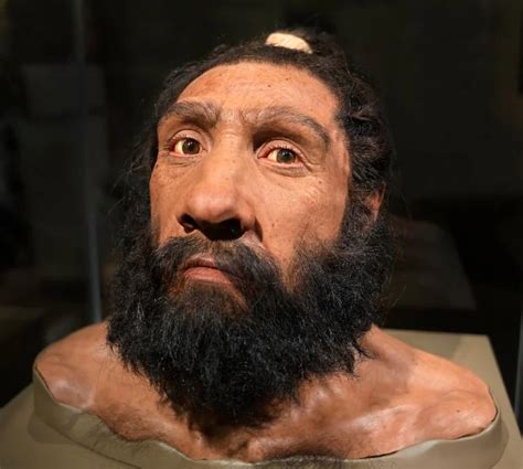 For A Long Time Neanderthals Were Viewed As The Classic ‘other In The