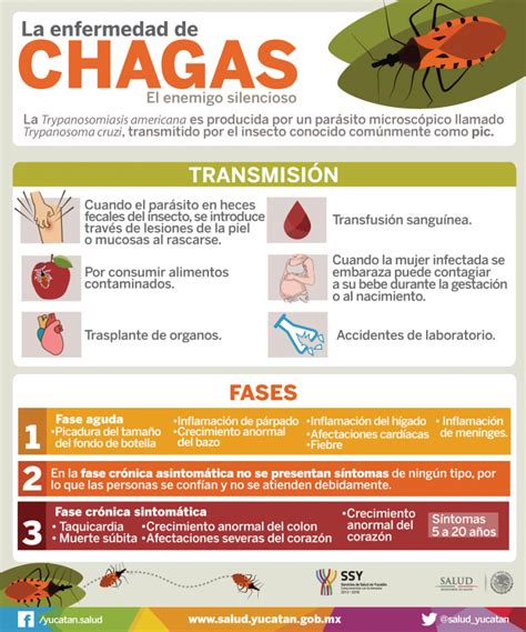 La Enfermedad De Chagas Vicente Guerrero