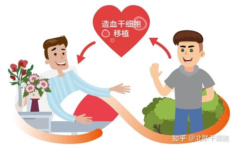 什么是造血干细胞移植？造血干细胞移植条件及方法 知乎