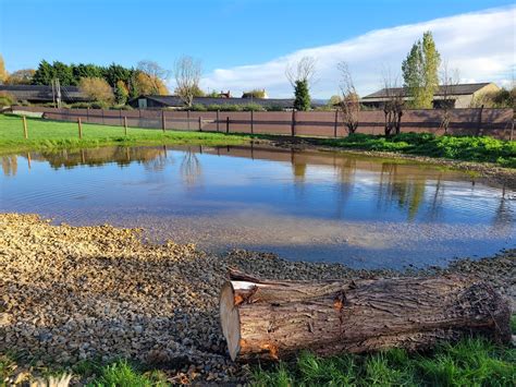 pet boarding main line pa 2