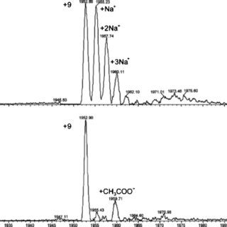 Time Of Flight Mass Spectra Of Myoglobin With Direct Infusion A And