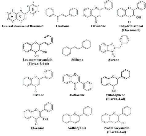 General structure of flavonoids. | Download Scientific Diagram