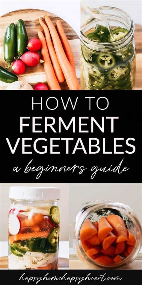 How To Ferment Vegetables A Beginner S Guide Happy Home Happy Heart