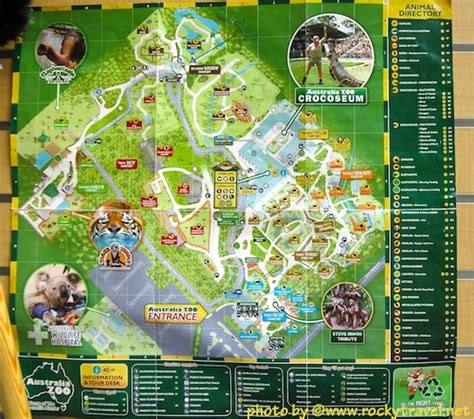 A Guide To Visiting The Australia Zoo in Brisbane - Rocky Travel