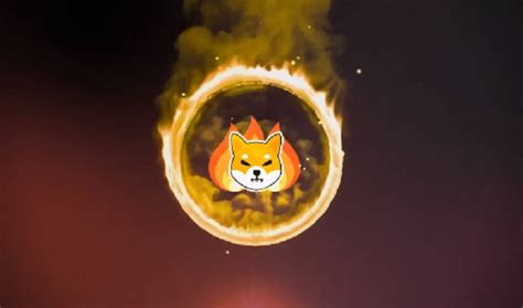 Over 8 Billion Shib Tokens Burned Through Shiba Inu Burn Portal In 24 Hours