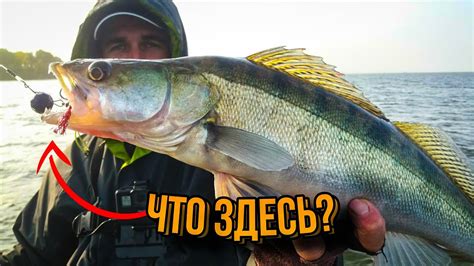Джиг / Ловля судака / Рыбалка 2020 / Спиннинг для джига / Судак - YouTube