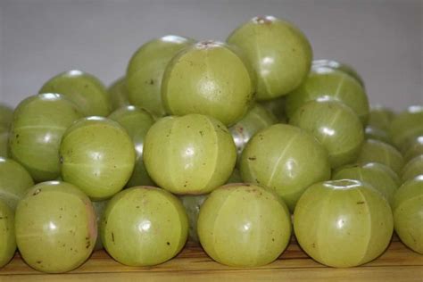 Top 15 Steps To Boost Indian Gooseberry Amla Yield How To Increase