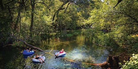 3 Places to Go Tubing in Florida - Tampa Magazine