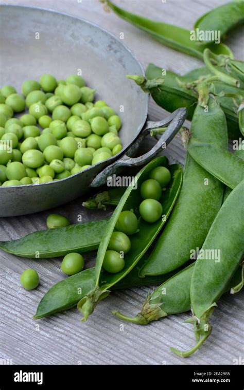 Pea Pod Interior Hi Res Stock Photography And Images Alamy