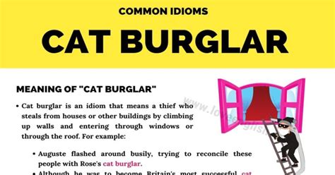 Cat Burglar: Do You Know The Meaning Of This Popular Idiom? - Love English