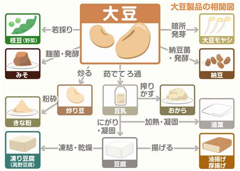 すべて知ってた？こんなにも多い大豆からできている食べ物 知ると得する栄養雑学・豆知識：アスレシピ