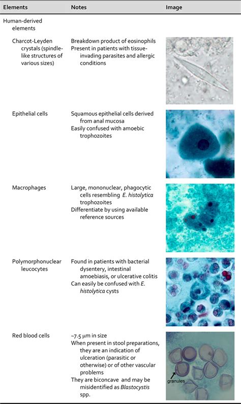 Practical Guidance For Clinical Microbiology Laboratories Laboratory